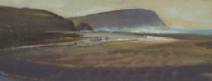 dinas_island_rowers