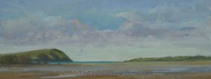sea_birds_nevern_estuary